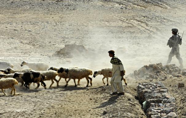 Tras años de guerras, la ONU ha puesto en marcha un plan de repatriación voluntaria para afganos.