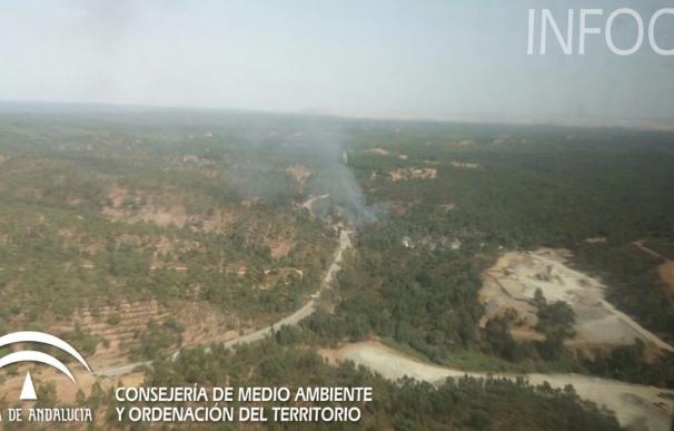 Declarado un incendio forestal en Niebla (Huelva) que moviliza a ocho medios aéreos