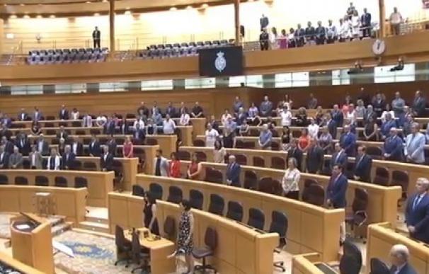 El Senado dedica un minuto de silencio a Miguel Ángel Blanco y las víctimas del terrorismo