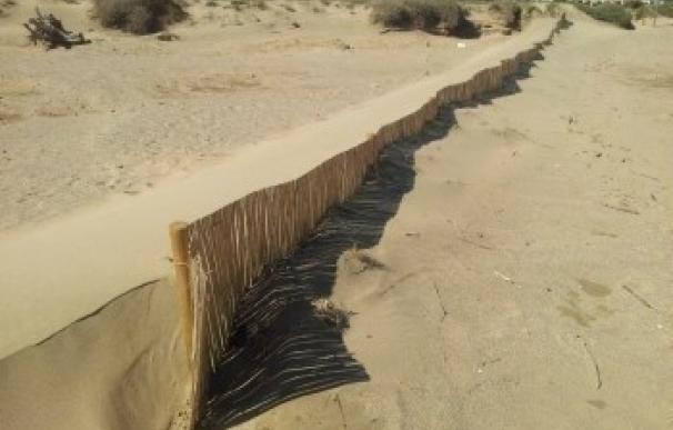 El Govern licita obras de recuperación y protección de sistemas dunares en el Empordà