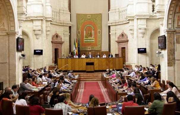 El próximo Pleno del Parlamento acogerá el debate de totalidad de la Ley de Fomento del Emprendimiento