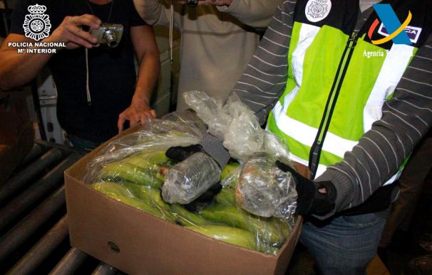 Localizan mil kilos de cocaína disuelta en pulpa de fruta congelada