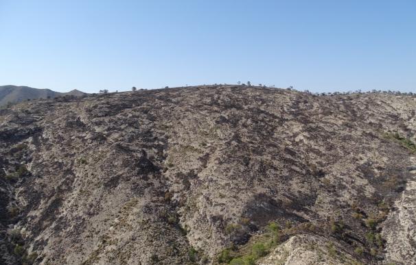 Los efectivos del Plan Infomur culminan la extinción del incendio de sierra Larga en Jumilla