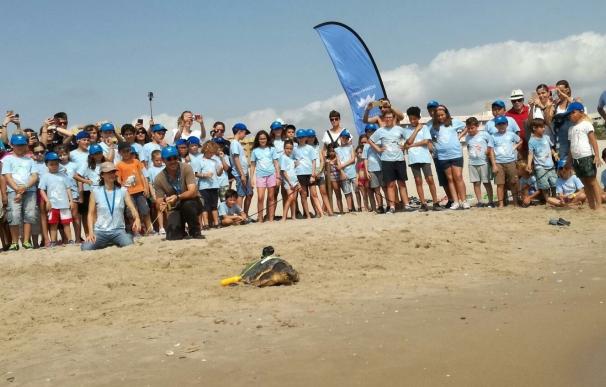 Los niños de la escuela de verano del Oceanogràfic sueltan en El Saler la tortuga marina 'Gandía'