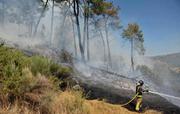 Sigue activo el incendio que quemó al menos 100 hectáreas en Viana do Bolo