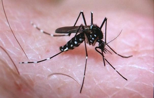 Texas detecta un caso de zika transmitido por contacto sexual