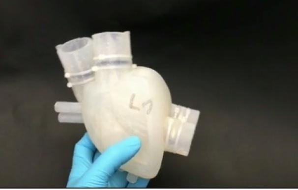 Un estudiante desarrolla un corazón de silicona para el tratamiento de la insuficiencia cardiaca