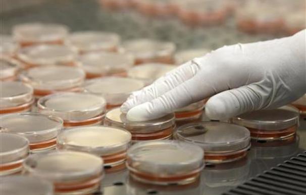 Alemania investiga a un proveedor; suben las muertes por E.coli