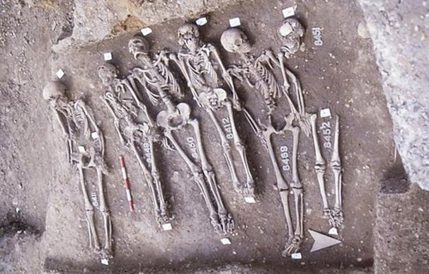 Restos de víctimas de la peste negra en Londres (Museum of London)