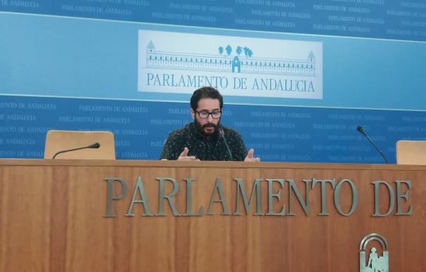 Podemos Andalucía respeta la decisión de las bases en C-LM, pero no cree que sea el modelo para esa comunidad