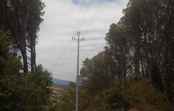 Endesa renueva la línea eléctrica en La Roca del Vallès para mejorar el servicio a un millar de clientes