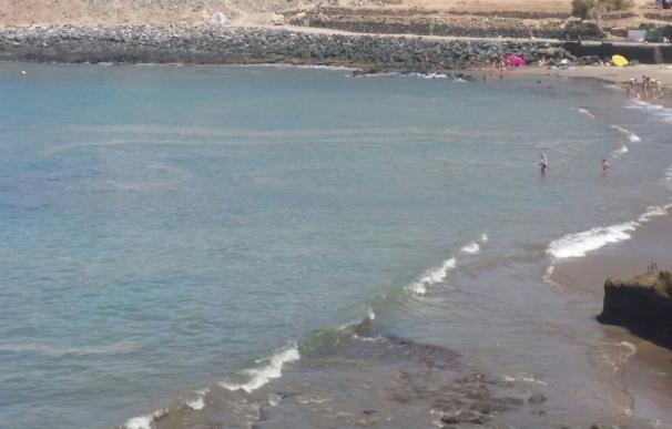 El Cabildo de Tenerife desvincula la aparición de microalgas en la costa con problemas de vertidos