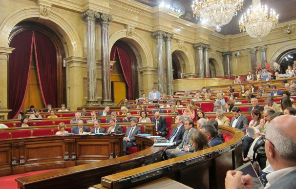 Puigdemont insiste ante el Parlament que no acatará una inhabilitación del TC porque violaría el Estatut