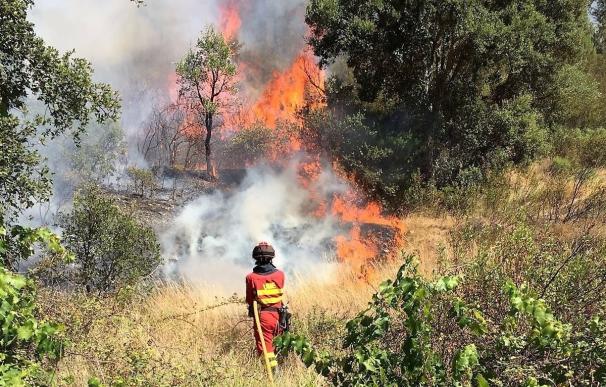 La UME envía otros 100 militares más a Portugal para luchar contra el "difícil" incendio en Sertá