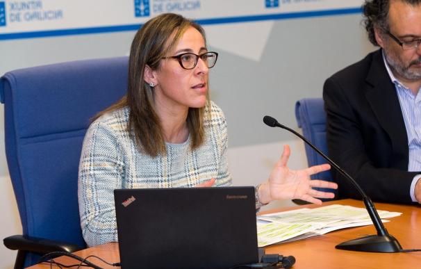 La Xunta revela "bajas importantes" en las ofertas de empresas a los contratos de autobús y analiza si son "temerarias"