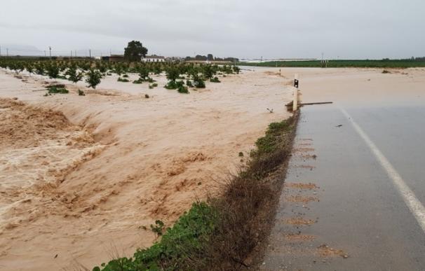Agricultores advierten de colapso por la falta de agua y lamentan el rechazo de las instituciones a las soluciones