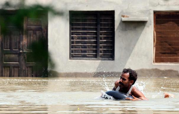 Las inundaciones arruinan la agricultura, motor de la economía paquistaní
