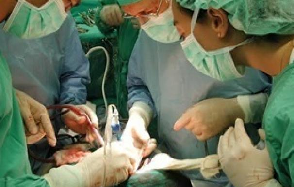 La provincia registró once donaciones de órganos y tejidos en el primer semestre del año