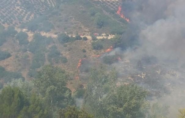 El Infoca trabaja en la extinción de un incendio declarado en un paraje de Villanueva del Arzobispo