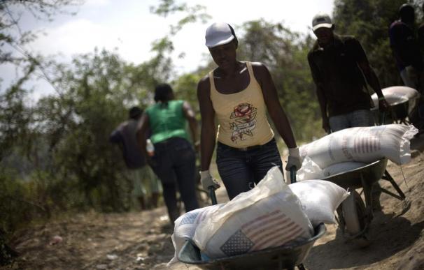 Cincuenta organizaciones no gubernamentales debaten su papel en la reconstrucción de Haití