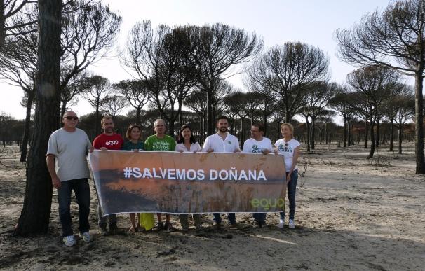 EQUO plantea blindar Doñana "por ley" frente a las distintas amenazas que lo acechan