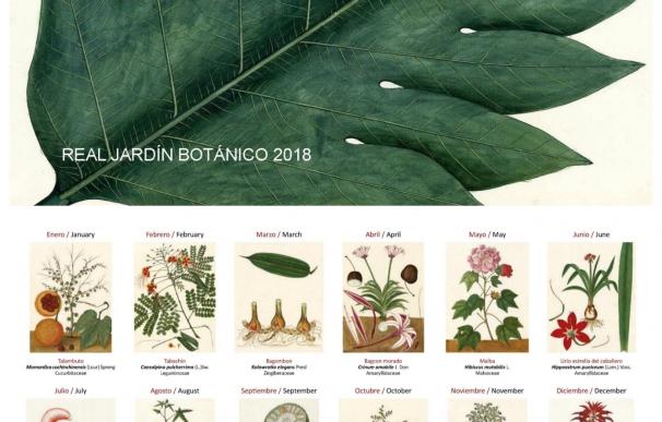 Una docena de obras que evocan el exotismo filipino del siglo XVIII ilustran el calendario 2018 del Real Jardín Botánico
