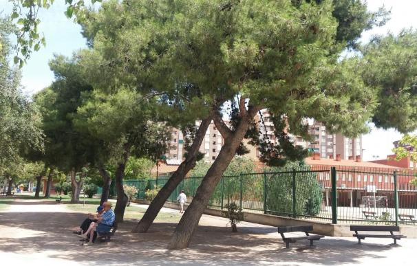 El PP exige la poda urgente de los árboles con riesgo de caída en La Almozara