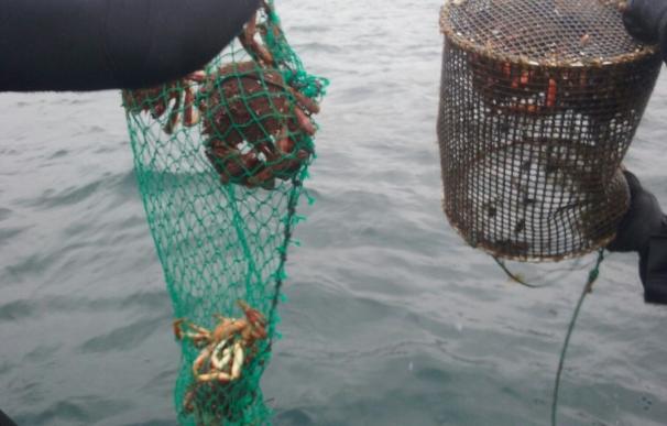 Requisados más de 360 kilos de pescado y marisco y 400 útiles de pesca en controles en las rías gallegas