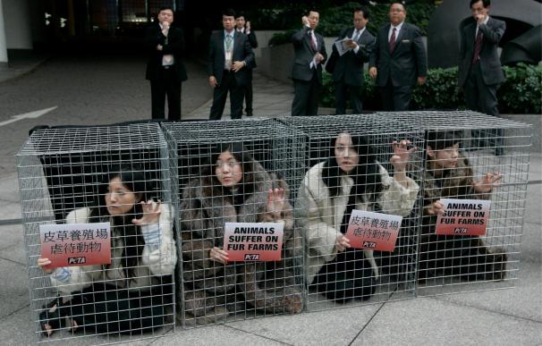 PETA pide la castración de perros y gatos en China