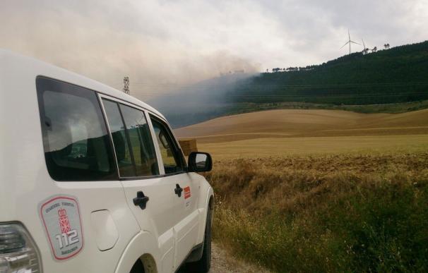 Un incendio afecta a unas 8 hectáreas de pinar en los altos de Aibar