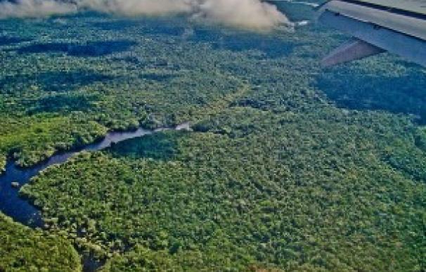 Foto aérea del Amazonas