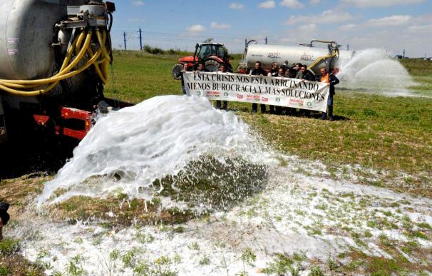 Los ganaderos derraman miles de litros de leche en cuatro puntos de Castilla y León por el bajo precio