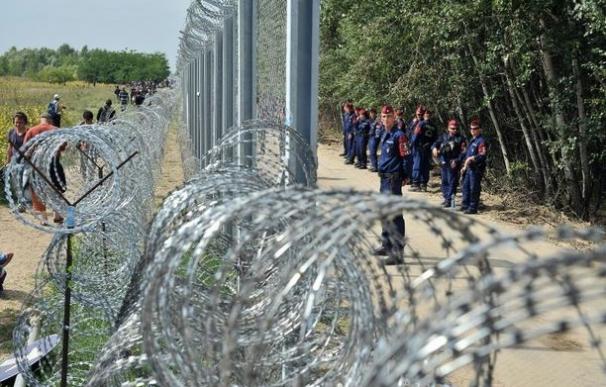Valla entre Hungria y Serbia (AFP)