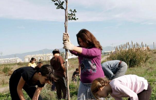 40.000 nuevos árboles en Galicia, Castilla León, Castilla La Mancha y Extremadura para compensar el CO2