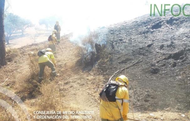 Controlado el incendio forestal declarado en un paraje de El Cerro del Andévalo