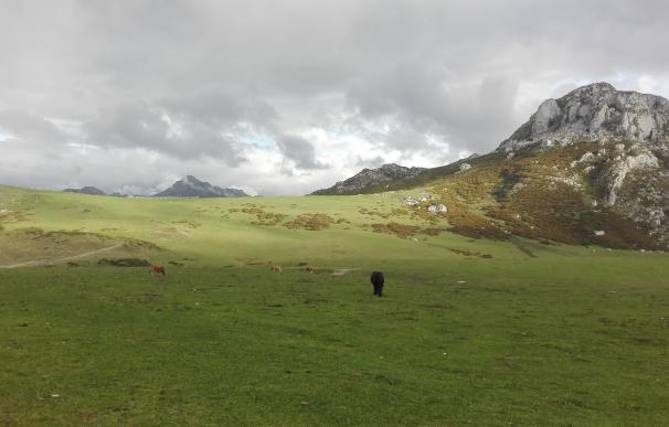 El Parque Nacional de Picos de Europa inicia el programa de rutas guiadas gratuitas