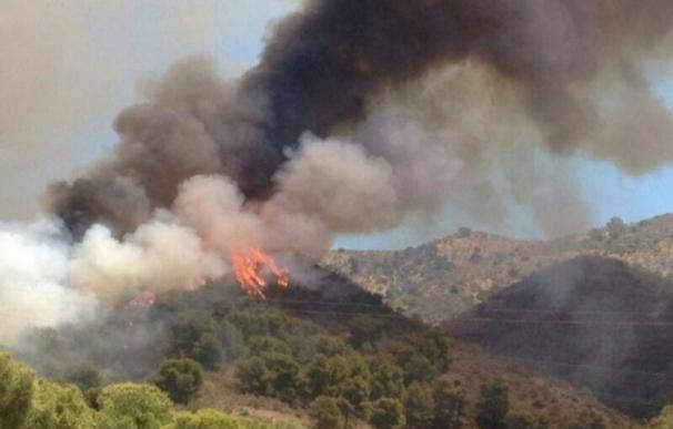 El fuego ha calcinado un total de 33.753,46 hectáreas en lo que va de año, más de un 30% que en 2013