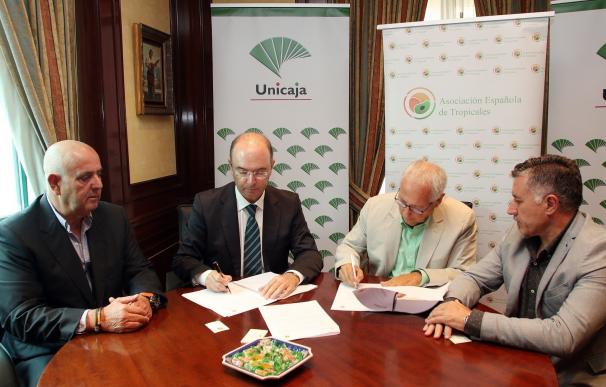 Unicaja Banco firma un convenio con productores de fruta tropical del que se beneficiarán más de 300 agricultores