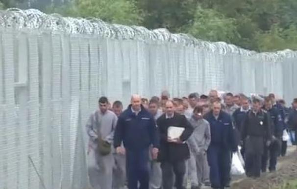 Un grupo de reos de la cárcel de Szeged levantan la valla de la vergüenza