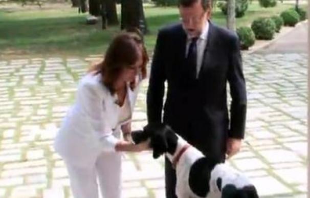 Rajoy, en el programa de Ana Rosa, en Telecinco, con su perro 'Rico'