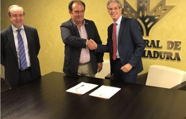 Caja Rural de Extremadura renueva su acuerdo de colaboración con la Federación Extremeña de Padel