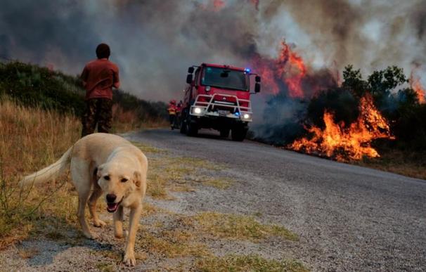 Bomberos trabajan para apagar un incendio forestal en Vila Ruiva, en el distrito de Fornos de Algodres (Portugal) hoy, martes 18 de julio de 2017. (EFE/NUNO ANDRE FERREIRA)