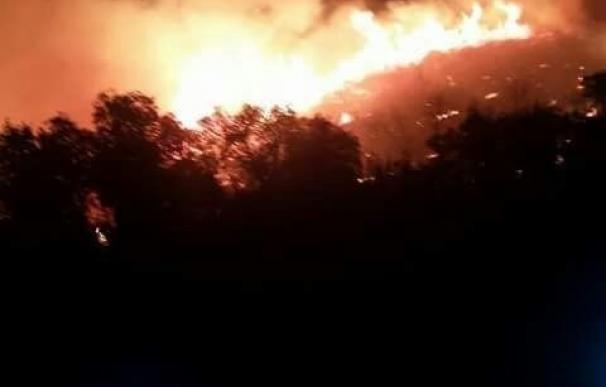 El Infoca da por controlado el incendio forestal en Aznalcóllar