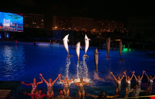 Más de 1.500 personas acuden al estreno de 'Las Noches del Oceanogràfic' en un espectáculo de danza y delfines