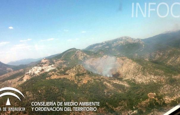 El incendio forestal en Segura de la Sierra (Jaé) ya controlado afecta a 2,5 hectáreas