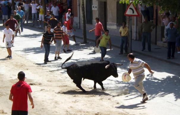 El "Toro del Verdejo", que cumple su IV edición, será el plato fuerte en el municipio vallisoletano de Rueda