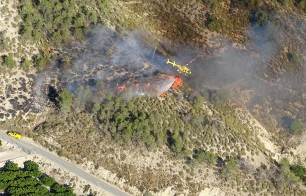 Efectivos del Plan Infomur controlan un incendio forestal declarado en Ulea