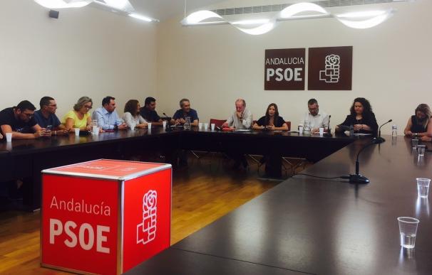 Pérez (PSOE): "Con Susana Díaz seguiremos escribiendo los mejores años para Sevilla y Andalucía"