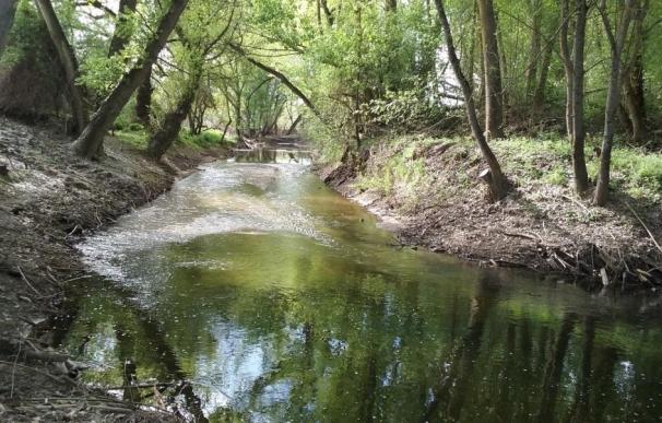 La CHD lleva a cabo labores de acondicionamiento en los ríos Cega, Duratón y Pirón en Segovia