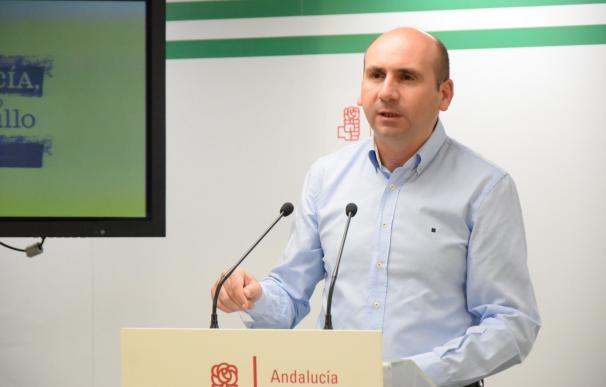 Conejo (PSOE-A) cree que la encuesta de Celeste-Tel "muestra que los socialistas andaluces vamos por el buen camino"